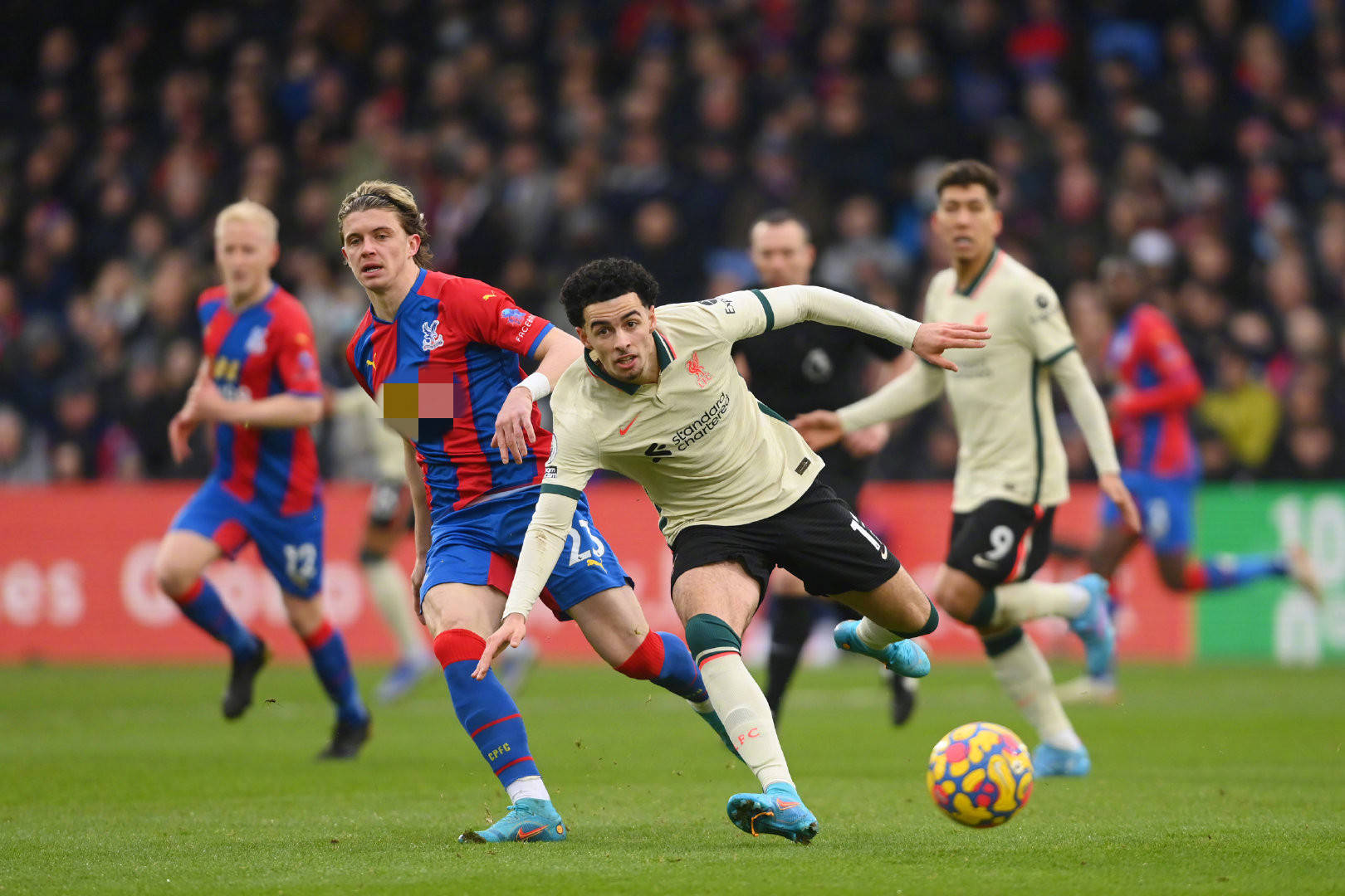 教练组可以 教练组可以