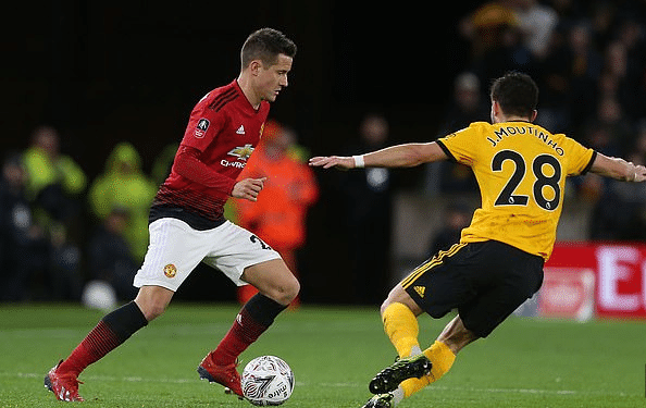 长期引进年 长期引进年